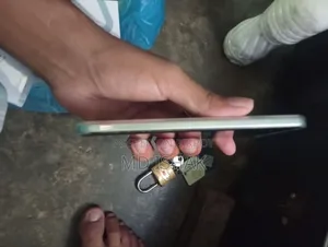 Xiaomi Civi 4 Pro 256 GB Green