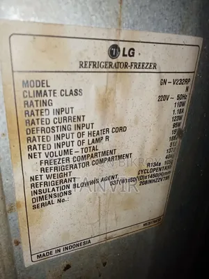 LG Indonesia Fridge