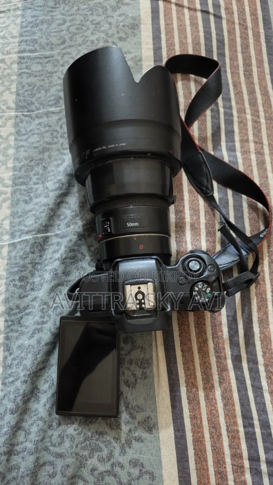 Canon M50 Mirrorless Camera With 50mm Prime Lens