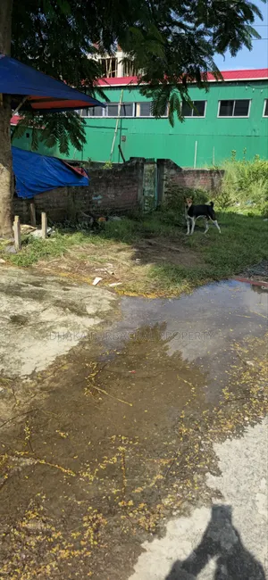 রাজউক উত্তরা সেক্টর ১৫/এফ, রোড ৪/এ, ৩ কাঠা পূর্বমুখী প্লট
