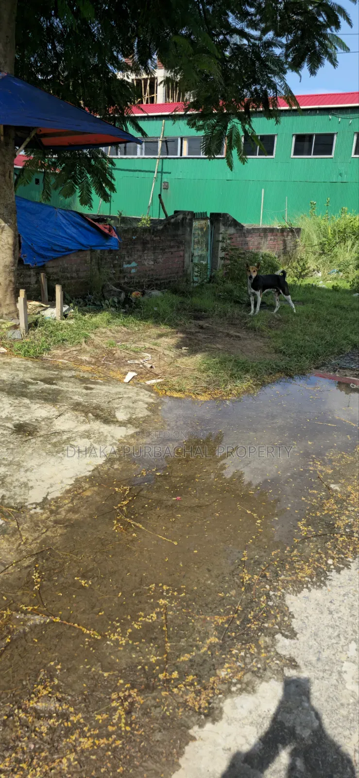 রাজউক উত্তরা সেক্টর ১৫/এফ, রোড ৪/এ, ৩ কাঠা পূর্বমুখী প্লট
