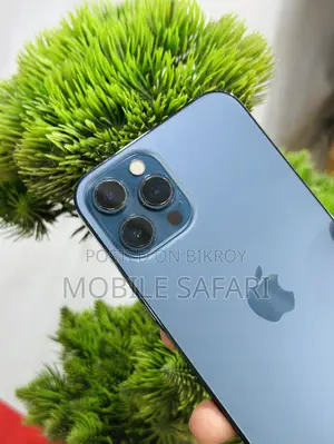 অ্যাপল আইফোন ১২ প্রো ম্যাক্স ২৫৬ জিবি নীল