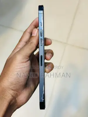 Apple iPhone 12 Pro Max 256 GB Blue