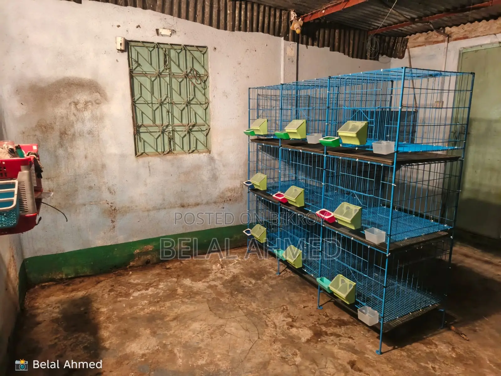 Pigeon cage 24/24-18