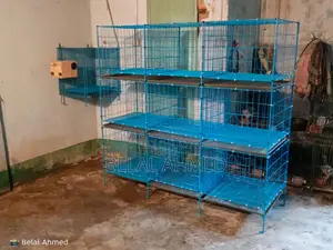 Pigeon cage 24/24-18