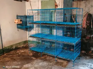 Pigeon cage 24/24-18