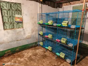Pigeon cage 24/24-18