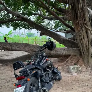 লিফান ২০২০ কালো