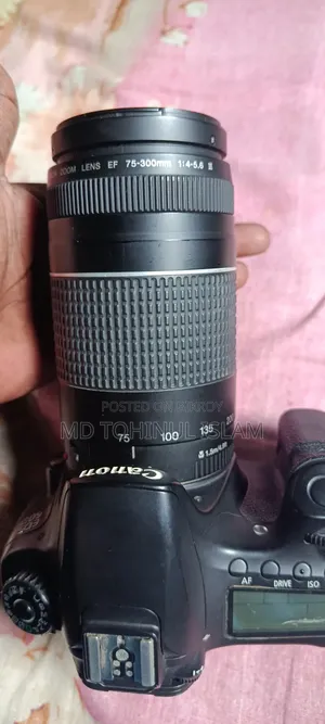 Canon 60D With 75/300 Zoom Lens