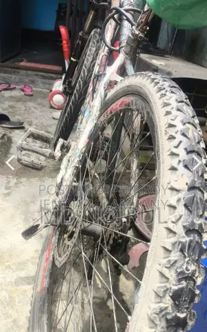 সাইকেল সেল হবে