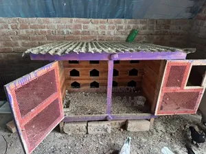 Pigeon Cage