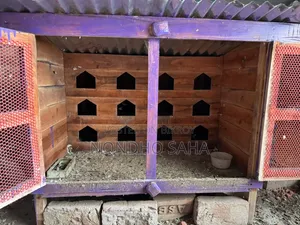 Pigeon Cage