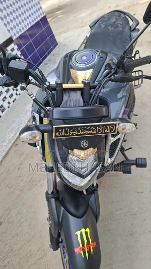 Yamaha FZS V3 2023 Gray