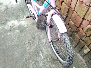 সাইকেলটির দুইটা চাক্কায় নতুন
