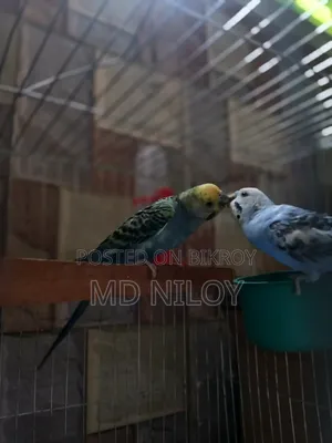 সময় দিতে না পারার কারণ এ সেল দিয়া হবে