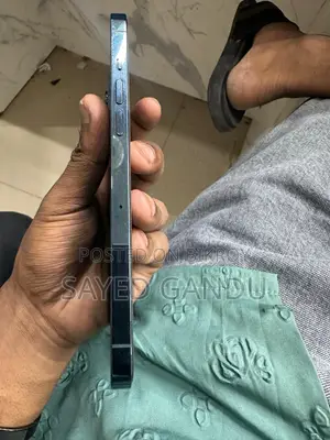 Apple iPhone 12 Pro Max 256 GB Blue