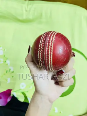 Leather Cricket Ball