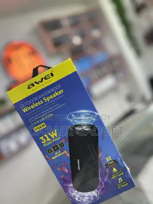 Awei Y669 Outdoor Waterproof Wireless Speaker