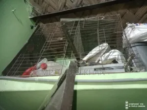 High-Quality Iron Pigeon Cage with Two Compartments