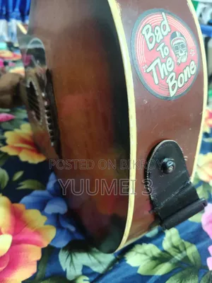 Acoustic Guitar