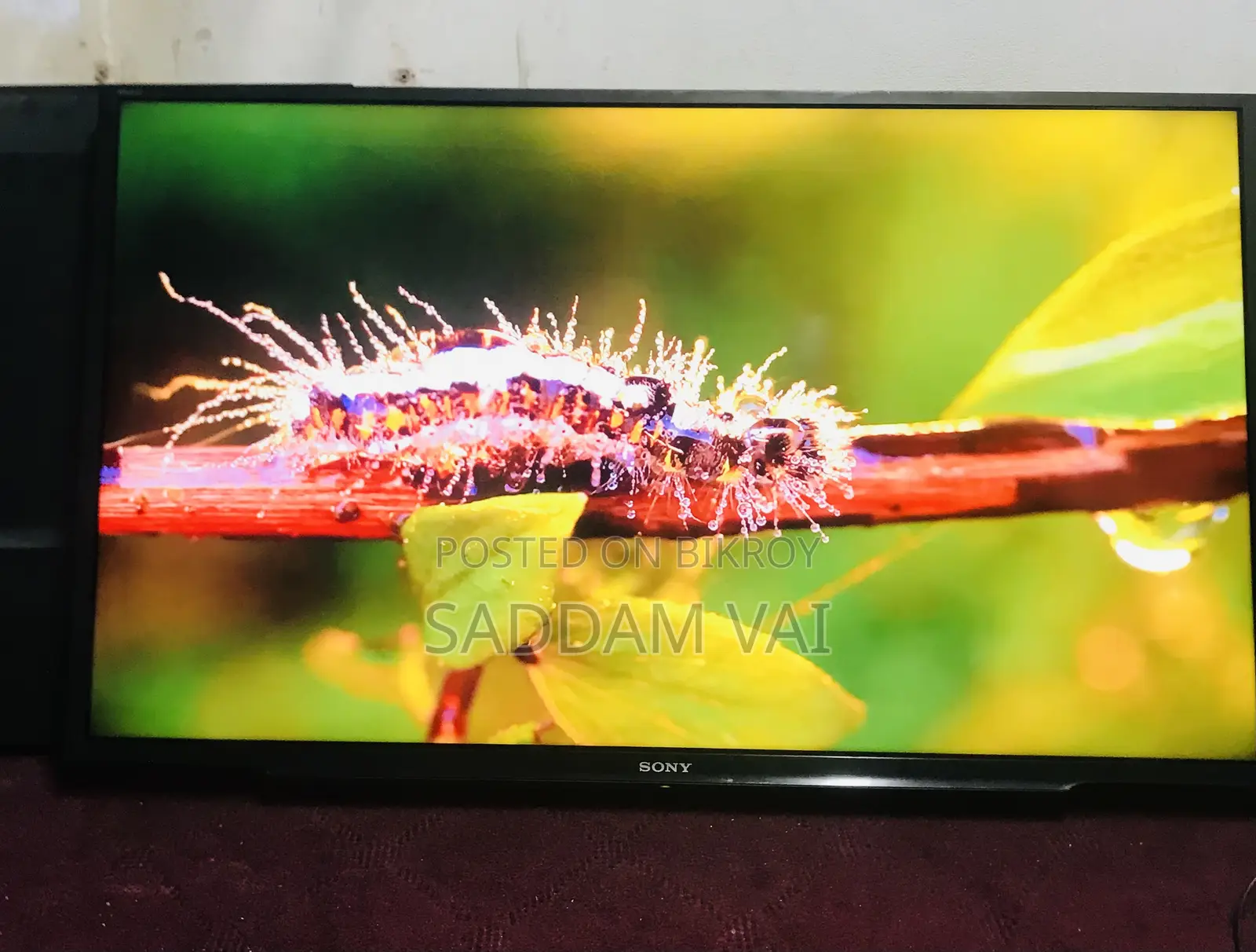 Sony Bravia