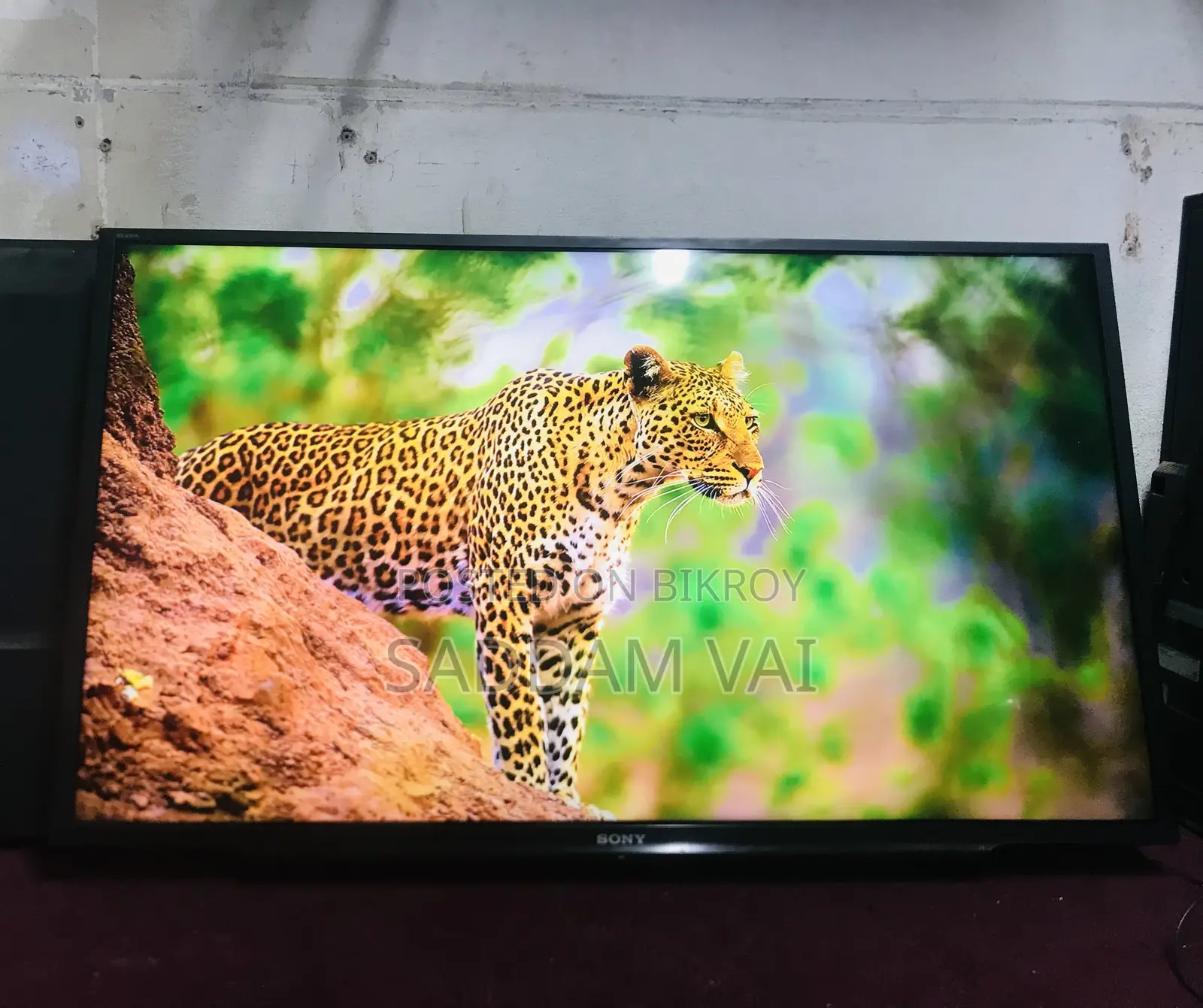 Sony Bravia