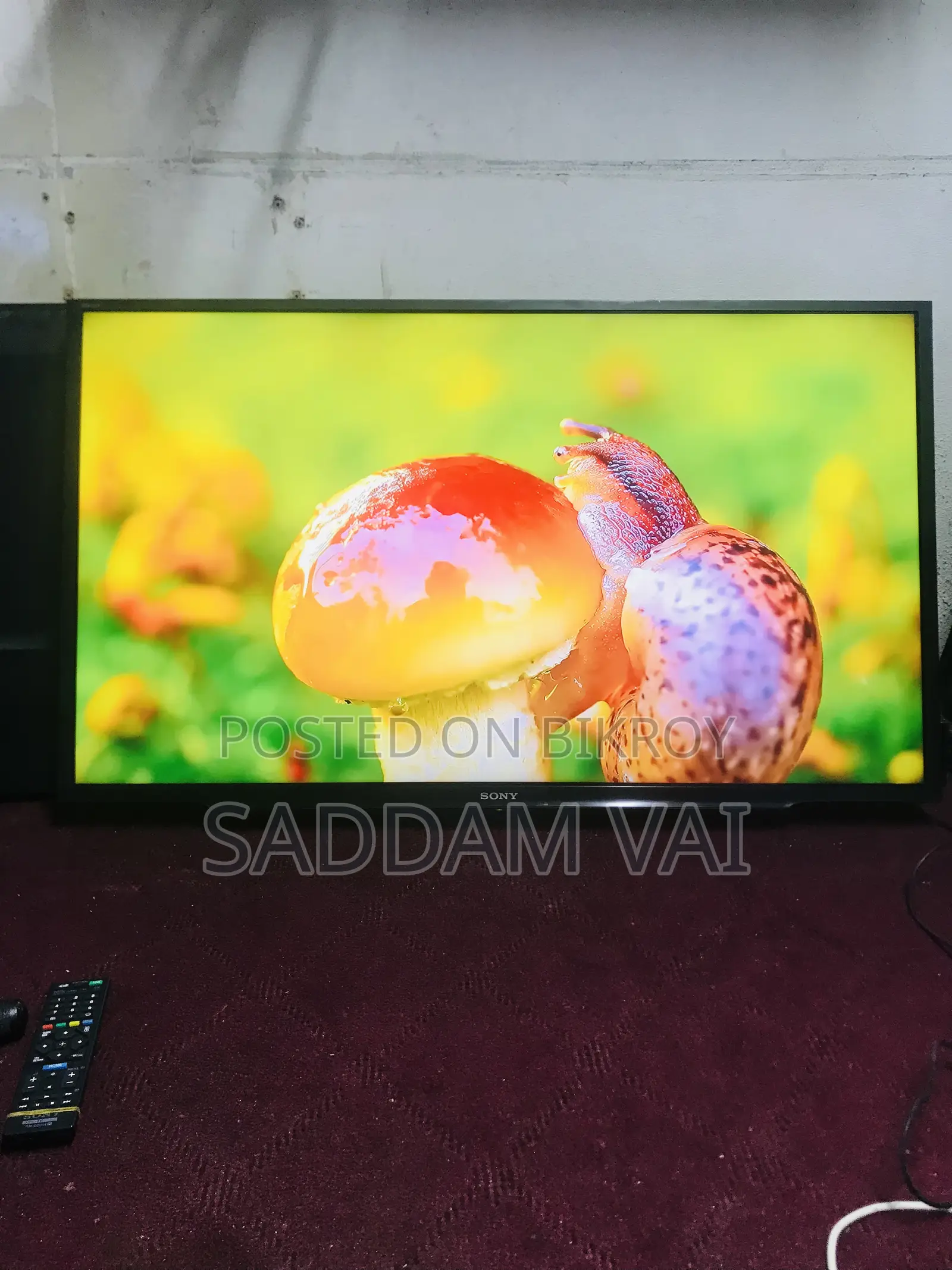 Sony Bravia