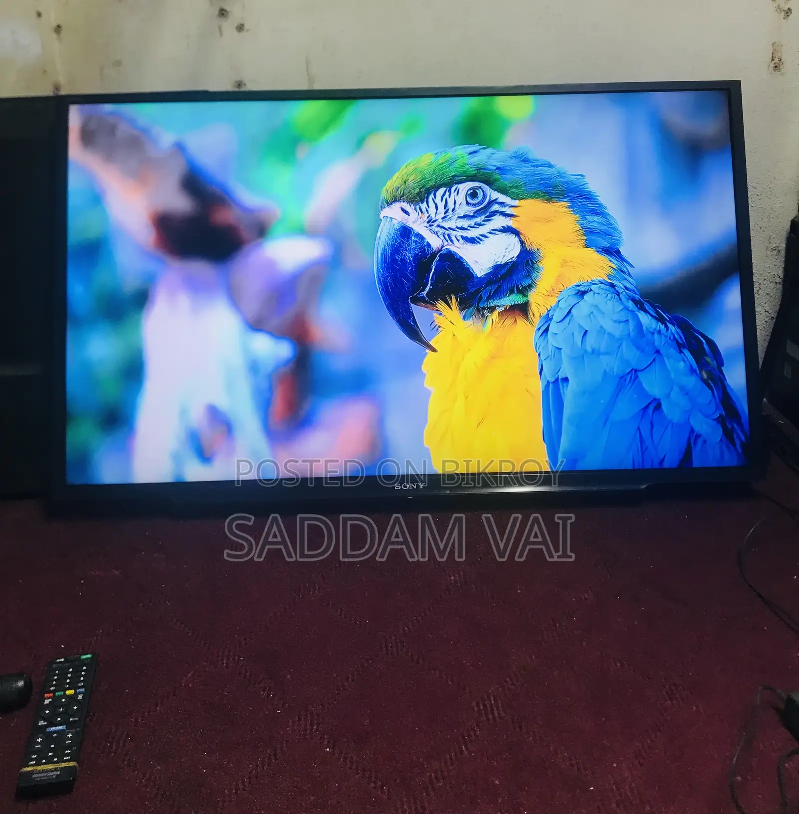 Sony Bravia