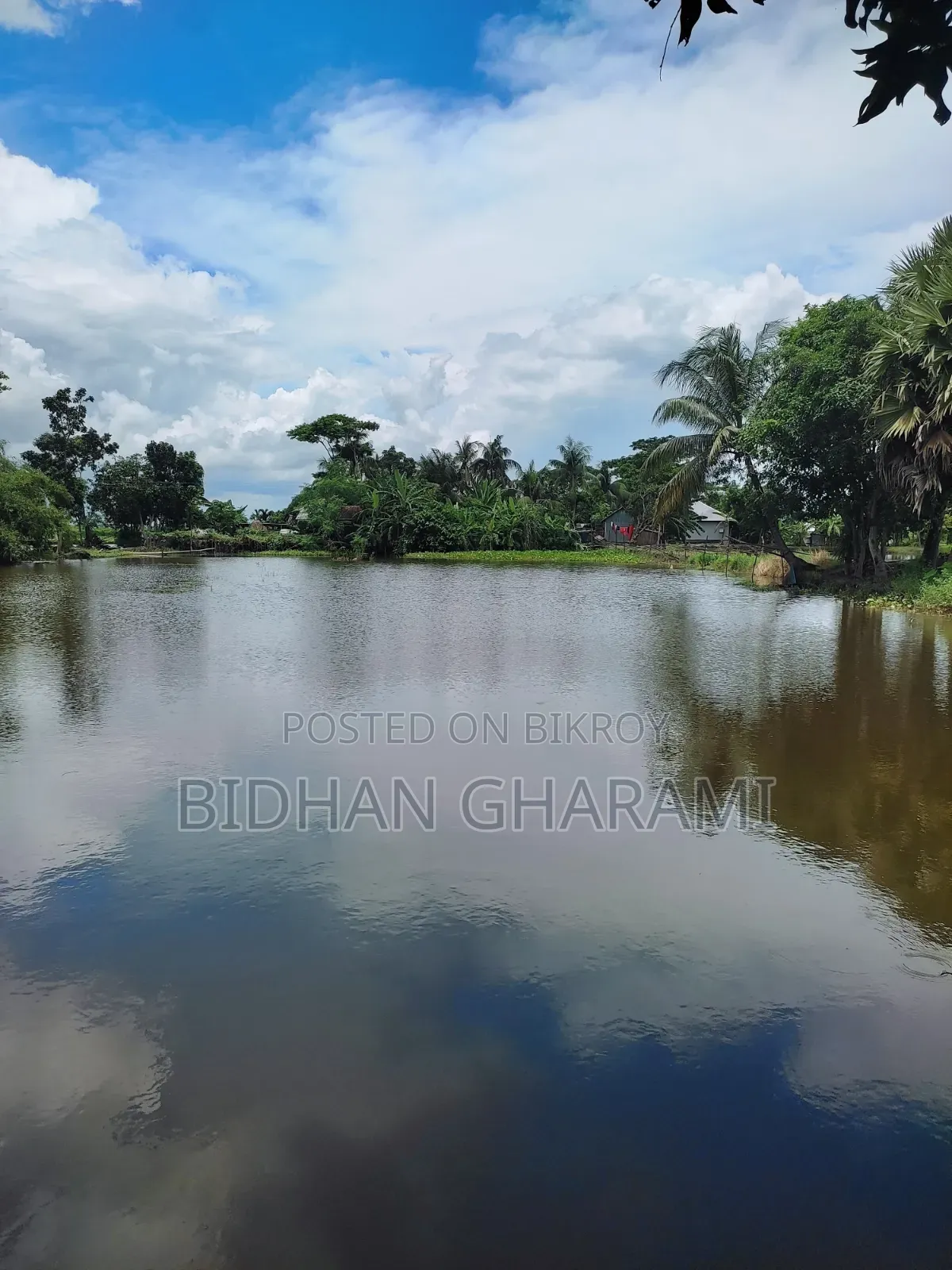 2 Bigha Land with Pond and House for Sale