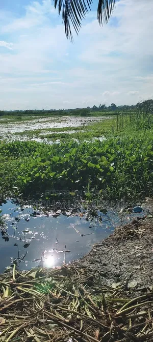 2 Bigha Land with Pond and House for Sale