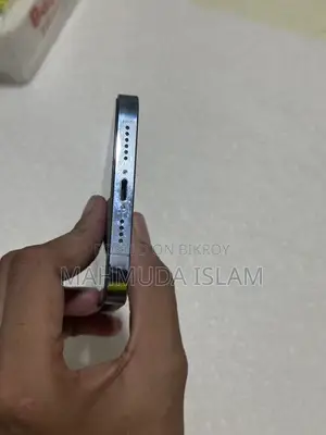 অ্যাপল আইফোন ১৩ প্রো ম্যাক্স ২৫৬ জিবি ব্লু