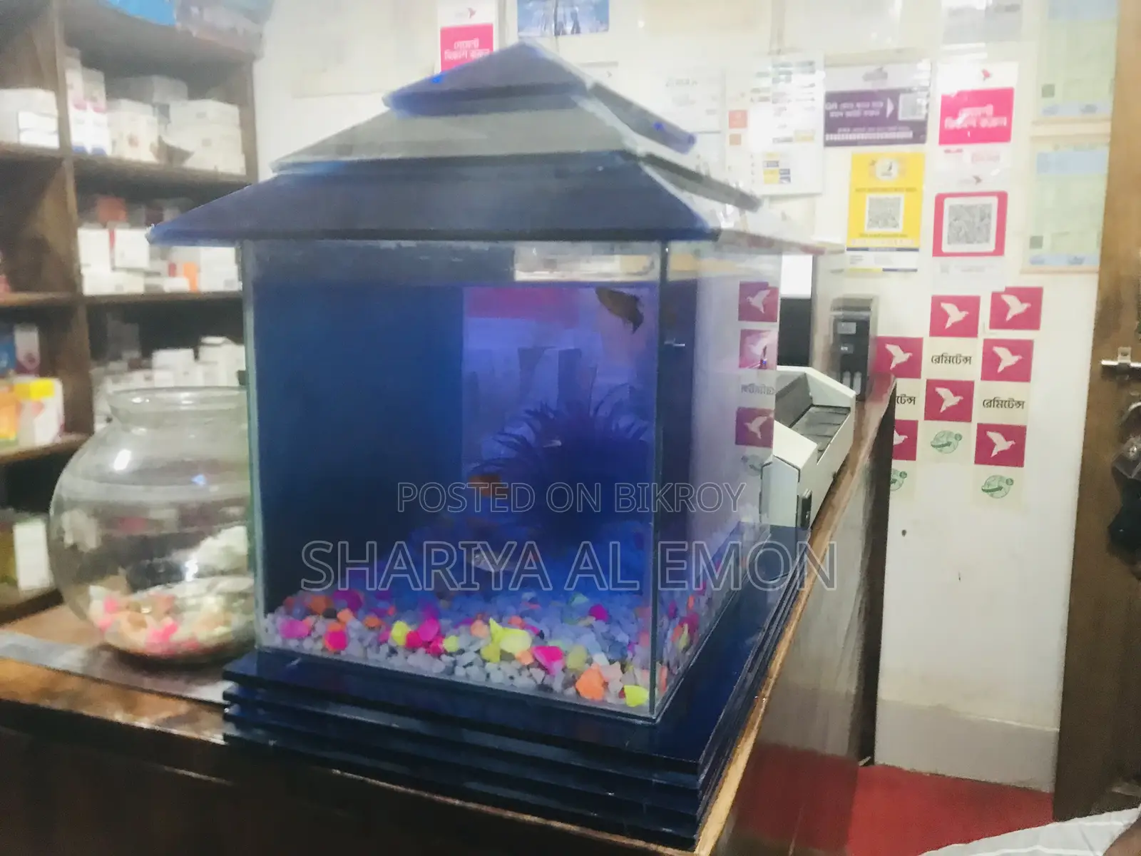 Aquarium Full Glass