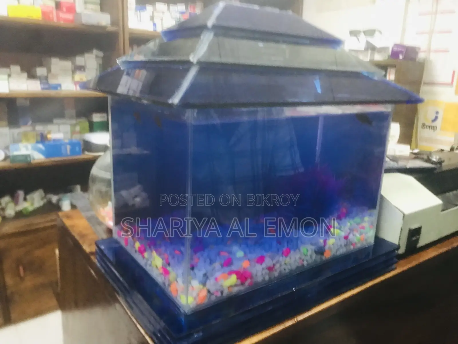Aquarium Full Glass