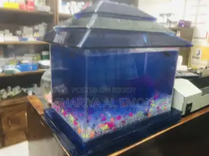 Aquarium Full Glass