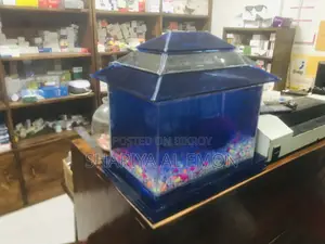 অ্যাকোয়ারিয়াম ফুল গ্লাস