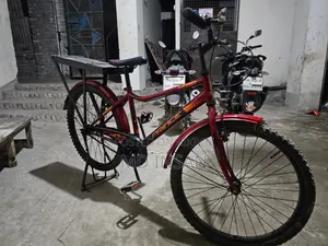 সাইকেল (প্রিন্স)