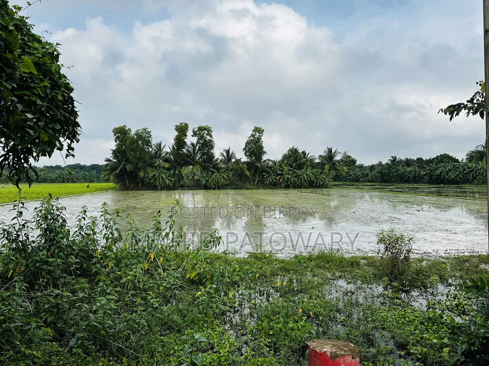 Land for Sale