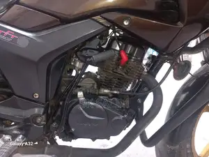 হিরো হাংক ২০১৮ ব্রাউন