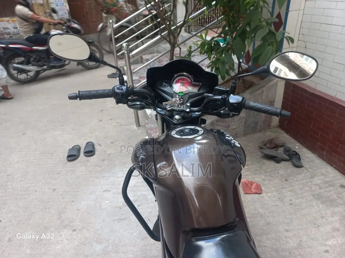 হিরো হাংক ২০১৮ ব্রাউন