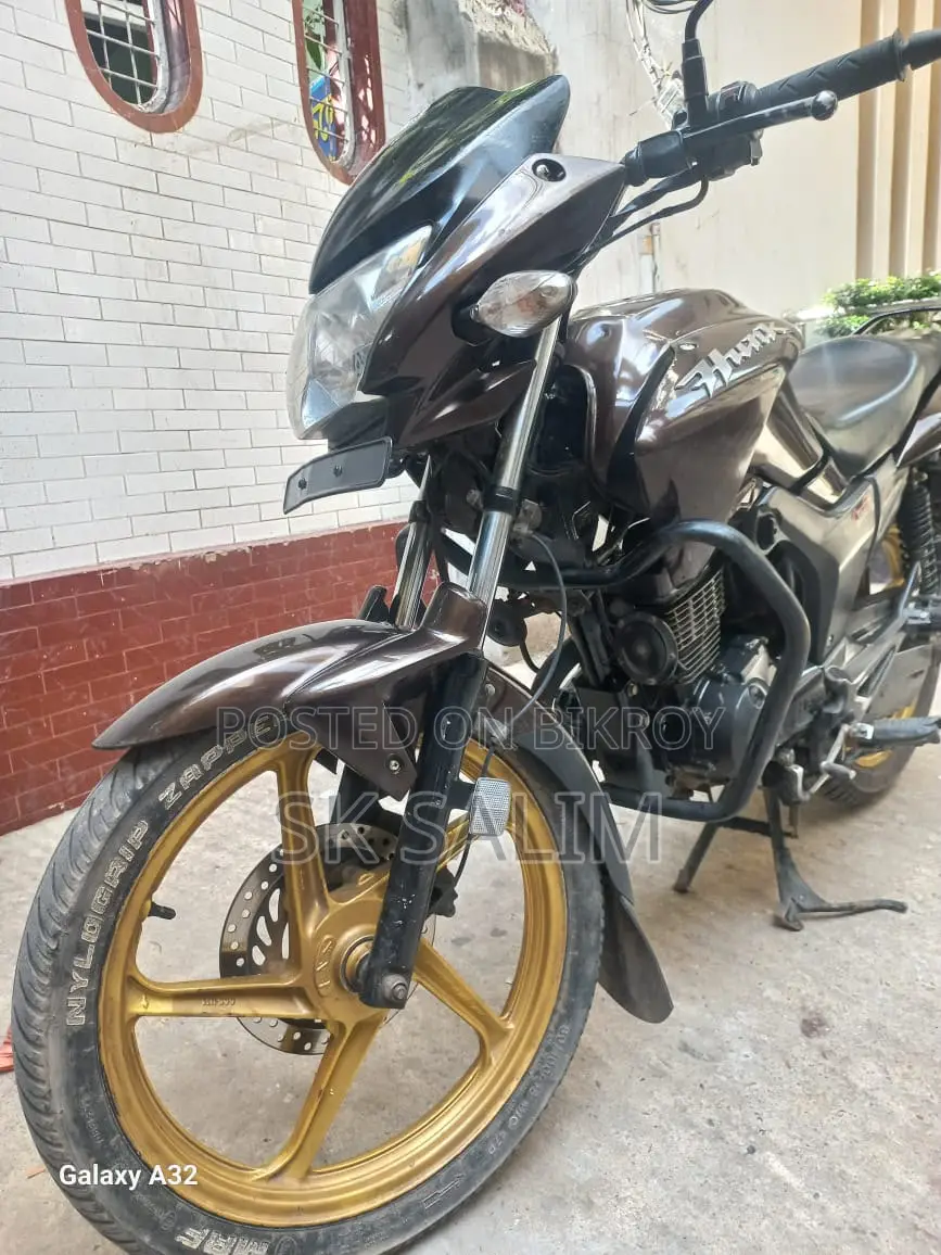 হিরো হাংক ২০১৮ ব্রাউন