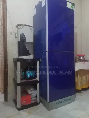 I will sell this fridge.