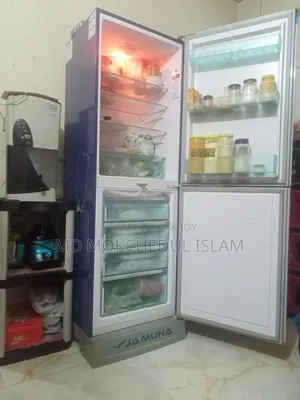 I will sell this fridge.