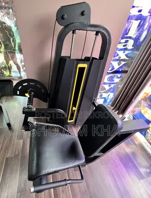 Leg Extensions
