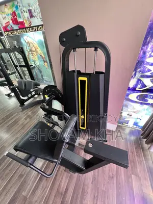 Leg Extensions