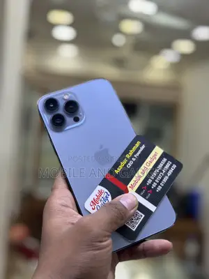 Apple iPhone 13 Pro Max 256 GB Gray