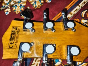 Guitar (New Intek)