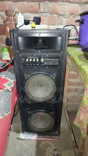 Professional Audio System