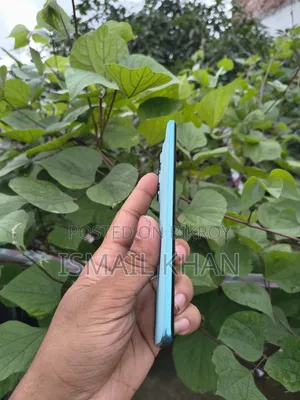 মোটোরোলা এজ ৬০ ফিউশন ২৫৬ জিবি