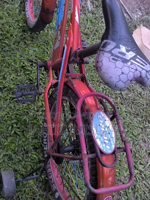 ভালো একটা বাইসাইকেল। ৮ থেকে ১২ বছরের বাচ্চাদের