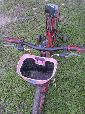 ভালো একটা বাইসাইকেল। ৮ থেকে ১২ বছরের বাচ্চাদের